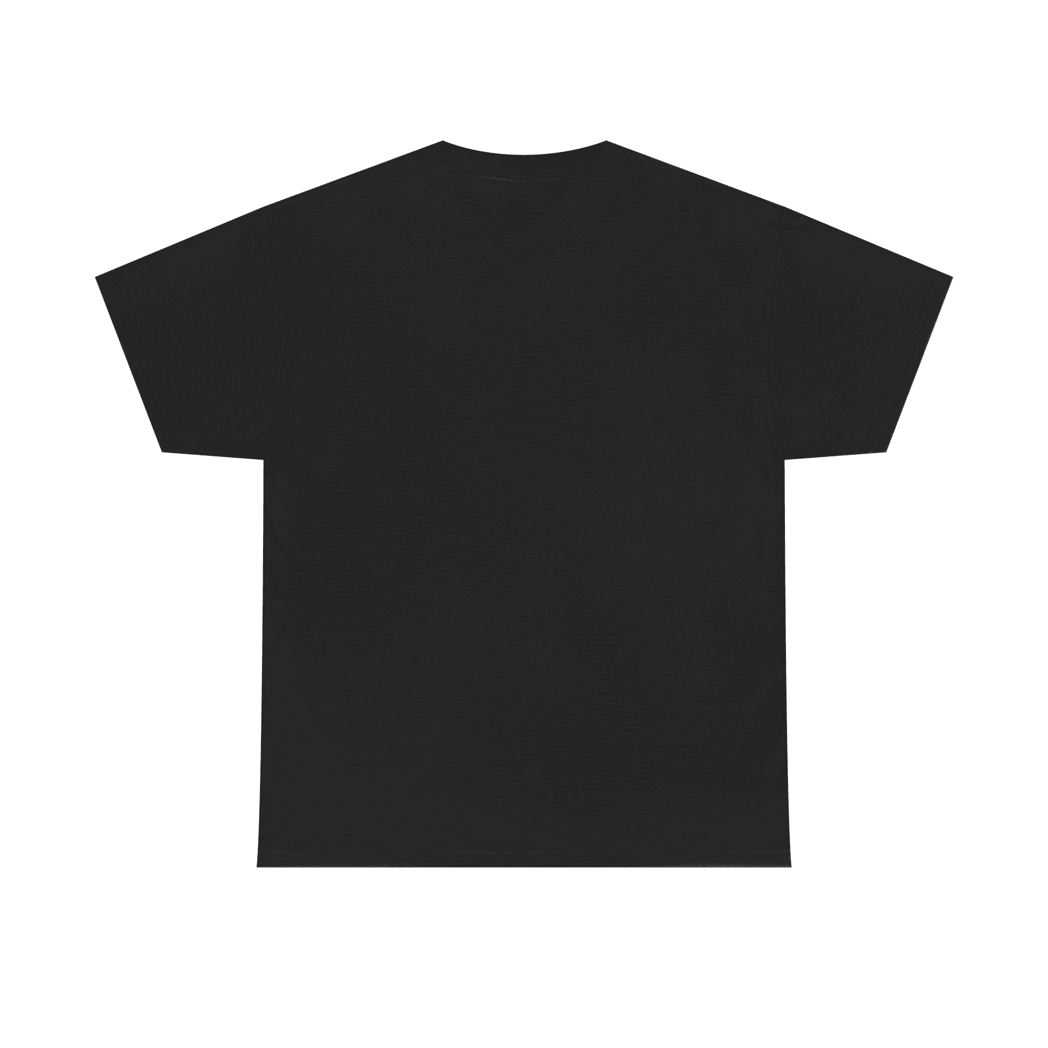 Black T-shirt Back View